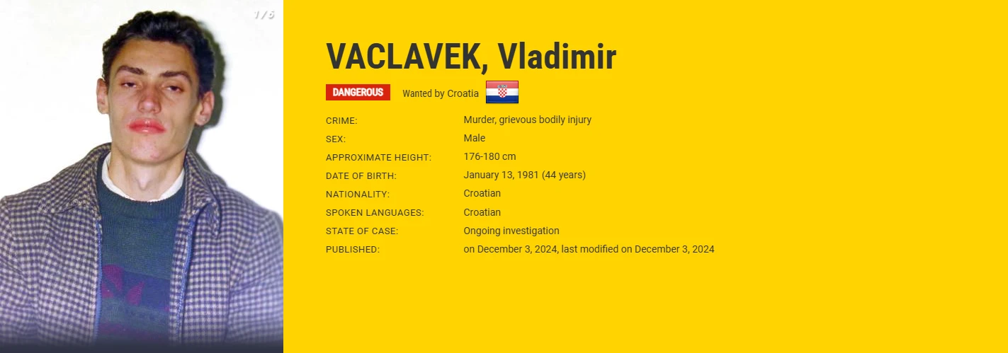 Vladimir Vaclavek