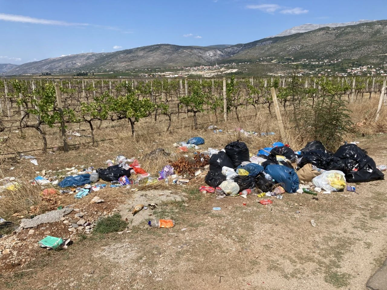 Dovoljna je samo jedna kesa i svi će primijetiti