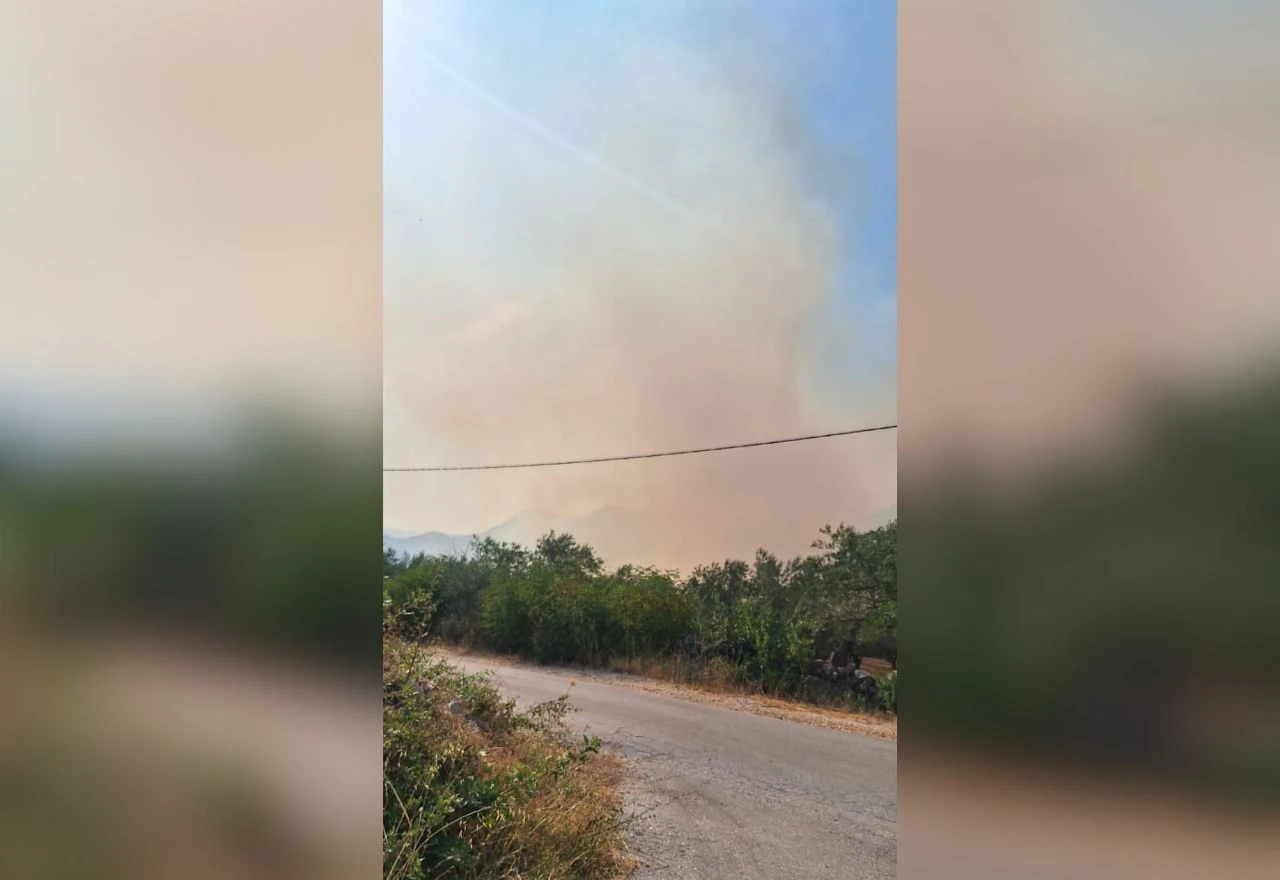 VIDEO | Požar kod Neuma prijeti kućama