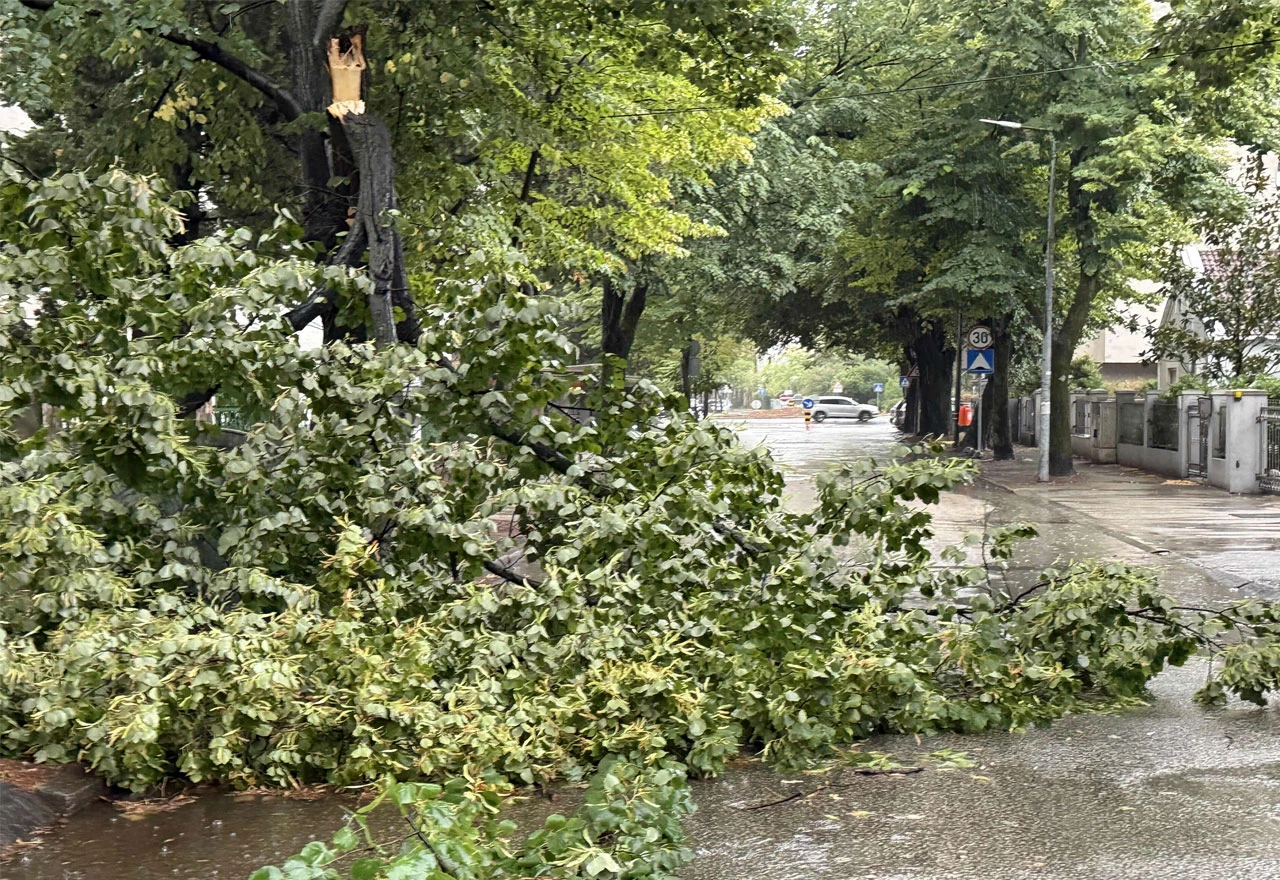 VIDEO | Mostar: Nevrijeme srušilo stablo u centru grada