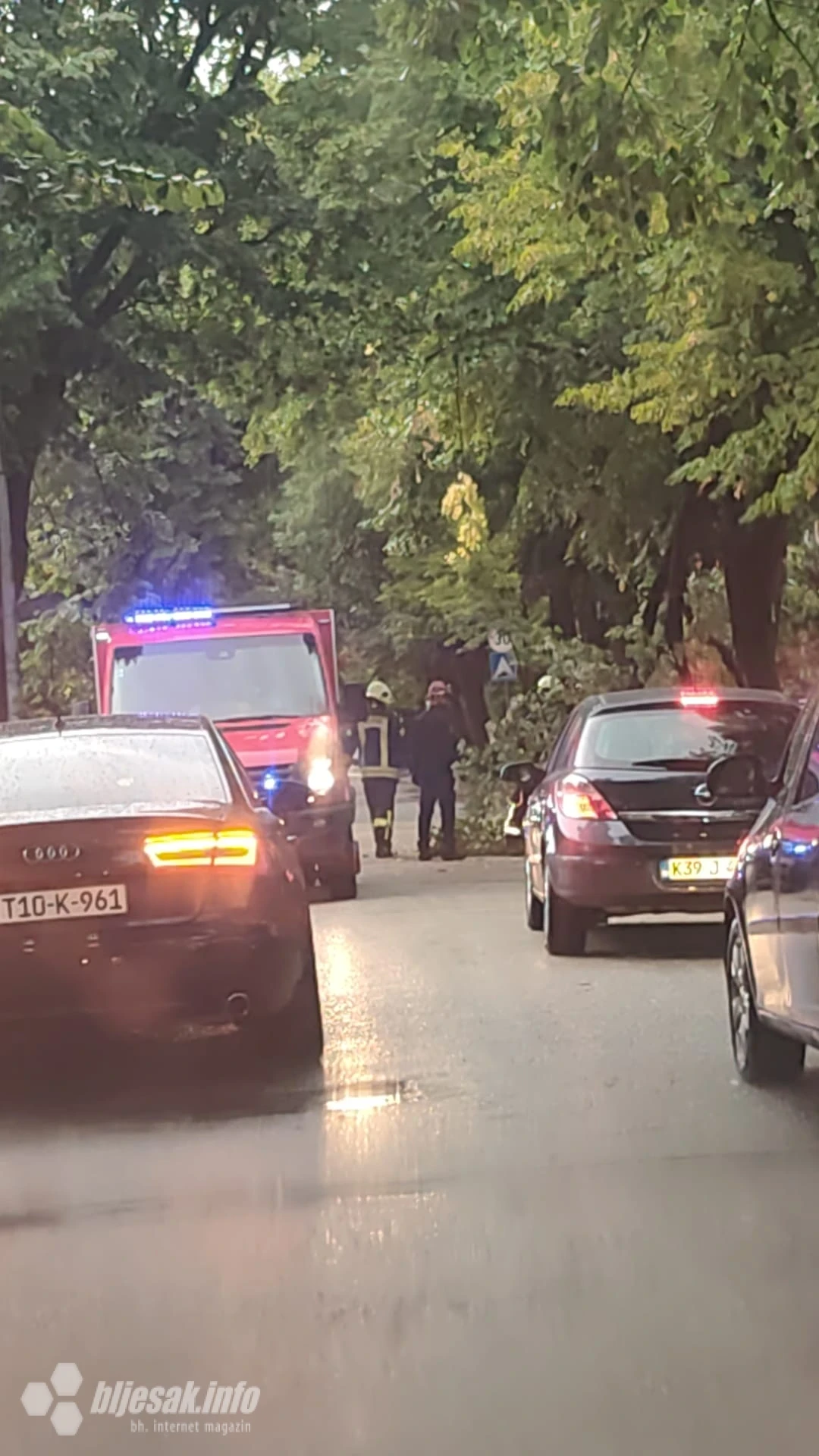 U Mostaru stablo palo na automobil