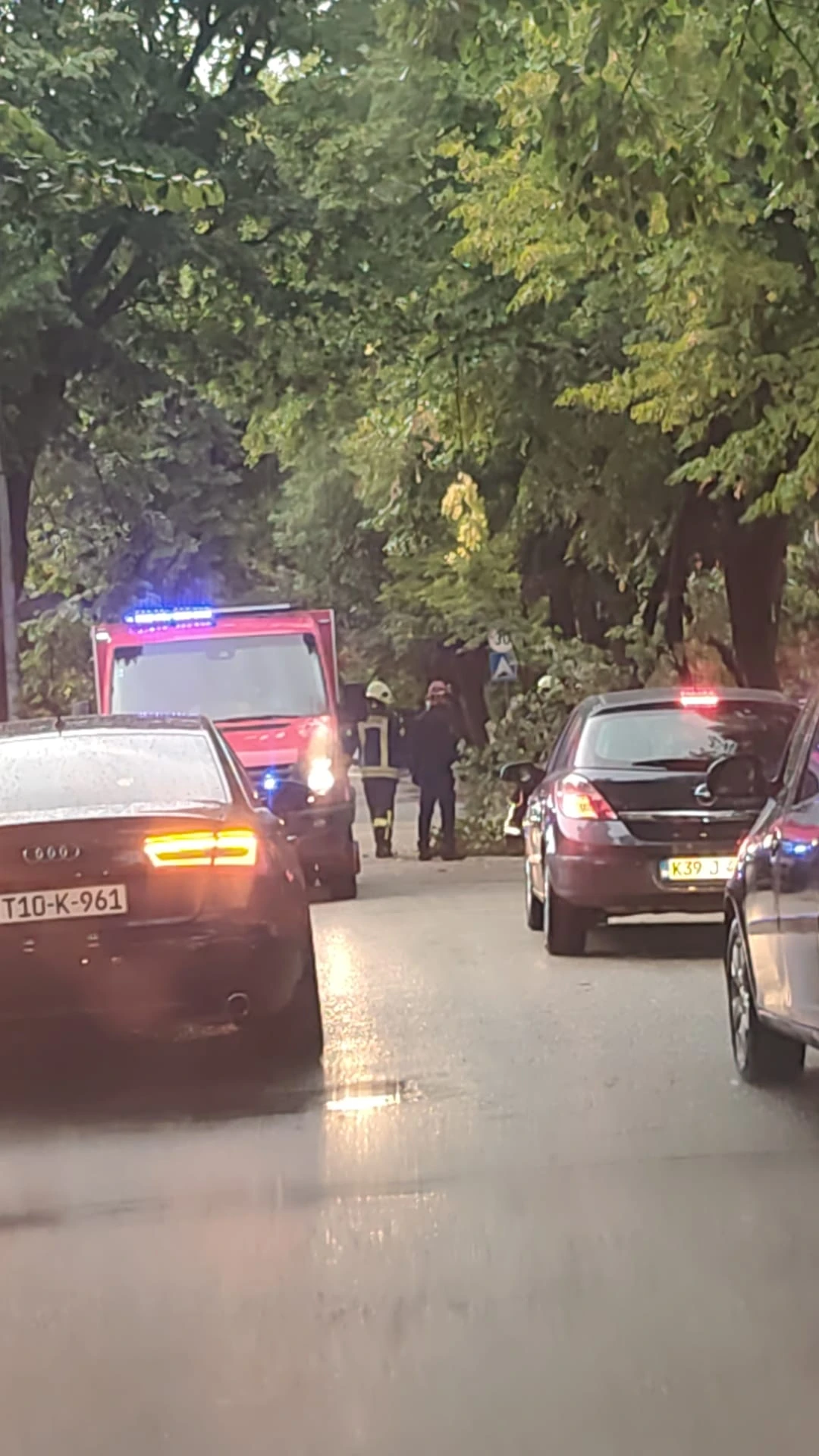 U Mostaru stablo palo na automobil