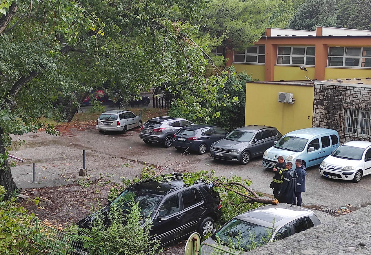 Stablo palo na dva automobila kod Građevinske škole