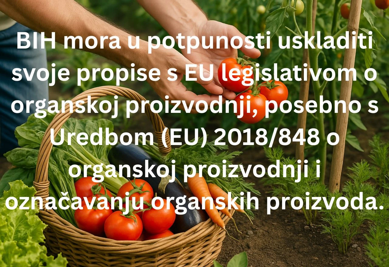 EU nudi novac, tržište i pravila s kojima se BIH mora u potpunosti uskladiti