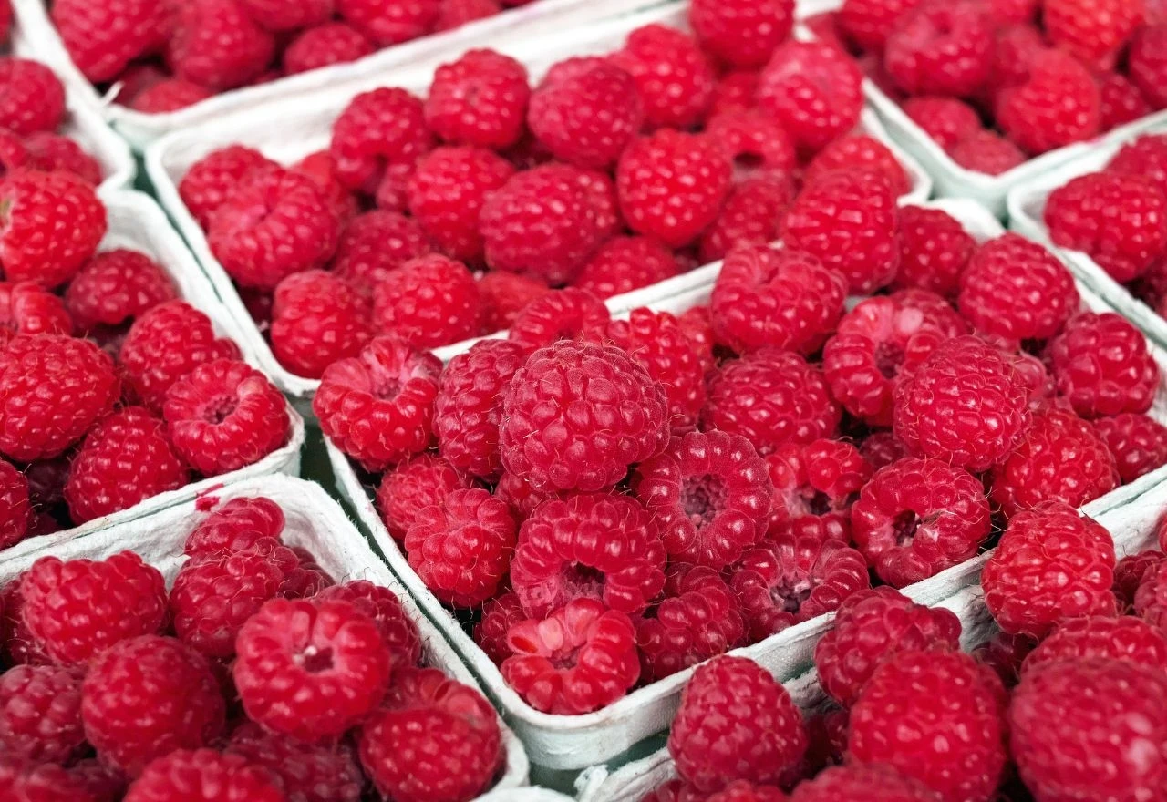 Malinari nezadovoljni otkupnom cijenom