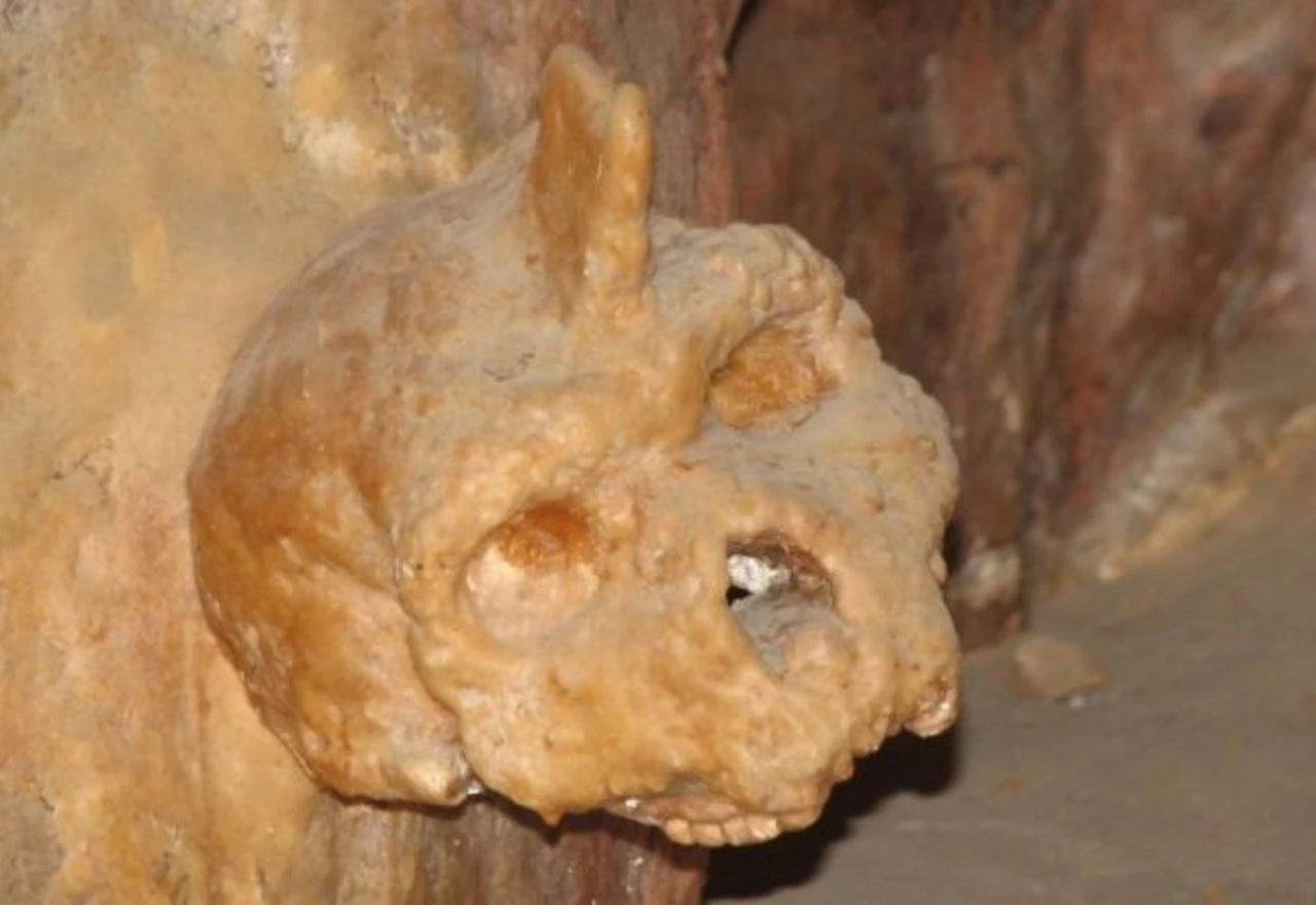 Misteriozno otkriće u Grčkoj: Lubanja iz špilje pripadala neobičnoj ljudskoj vrsti?