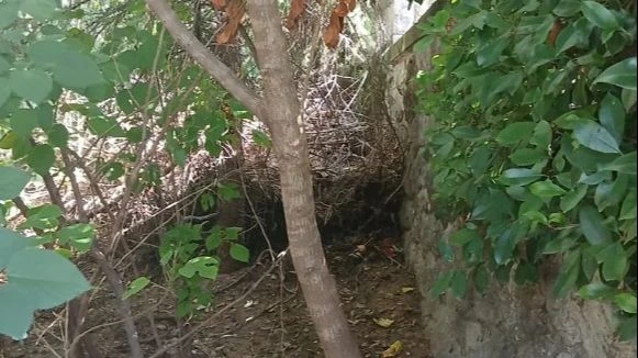 Strašno - Novorođenče ostavljeno u kesi pored kontejnera