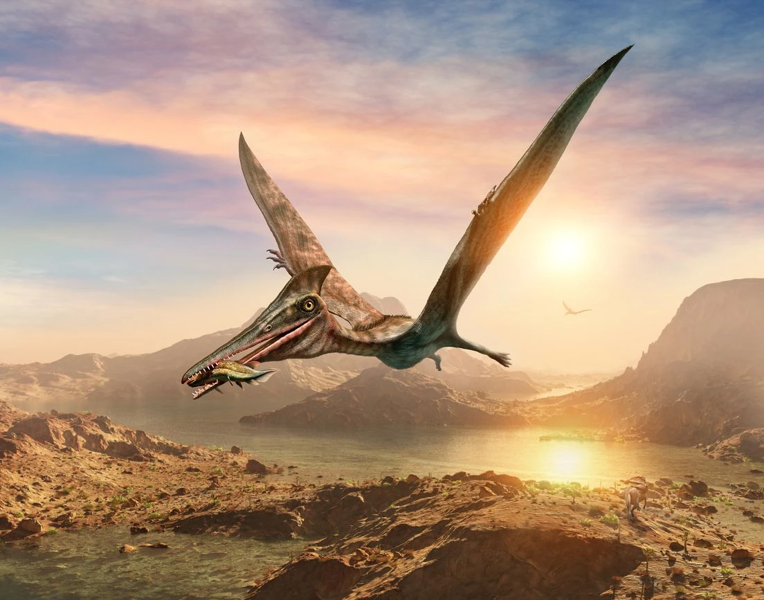 Mali leteći dinosauri možda su doživjeli dramatičan kraj u oluji