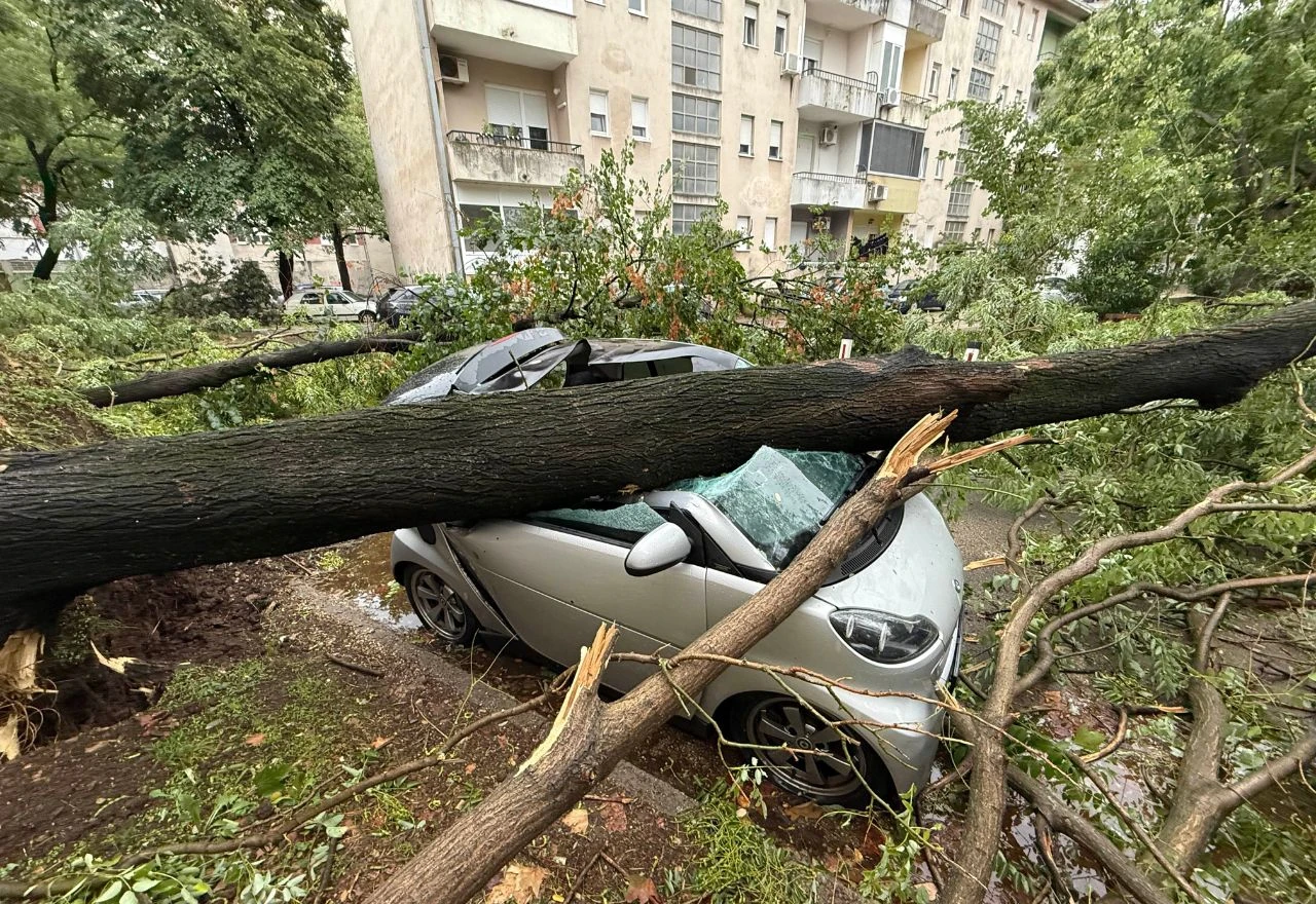FOTO/VIDEO | Nevrijeme u Mostaru uzrokovalo kolaps: Stabla padala po autima i uzrokovala štetu