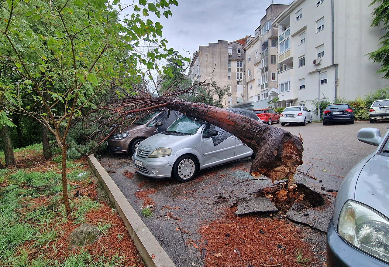 U Zaliku drvo oštetilo nekoliko vozila, na Vojničkom srušena ograda...