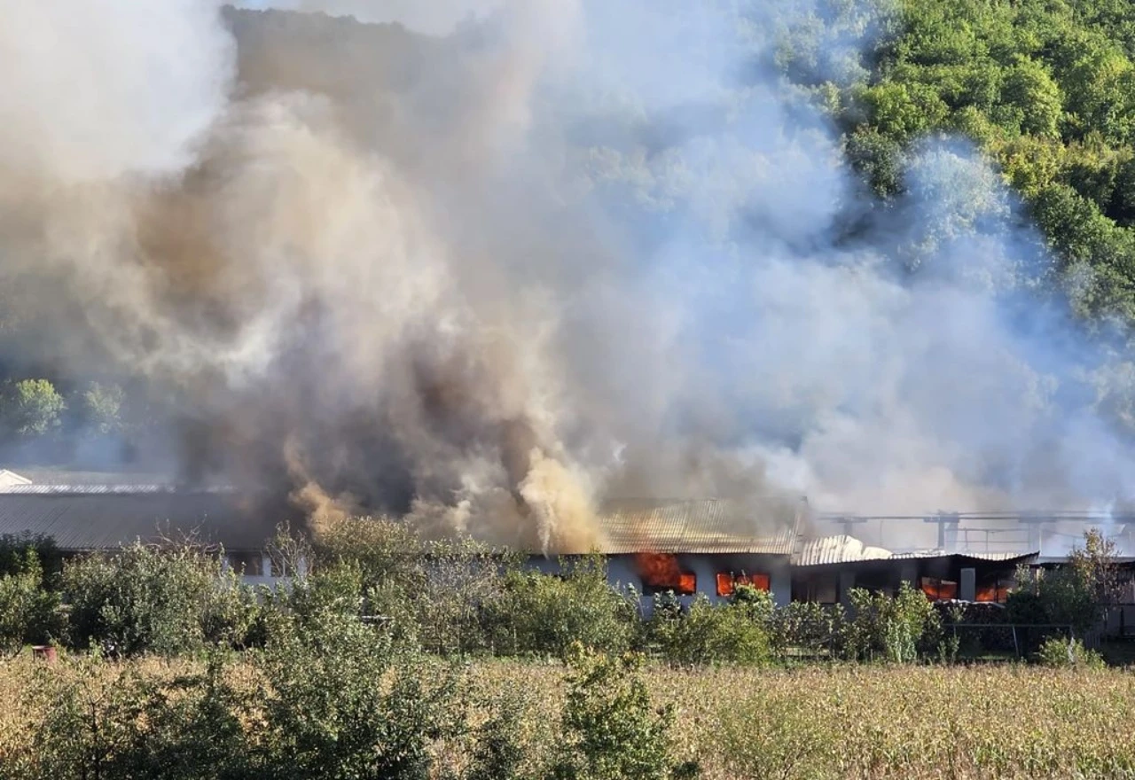 VIDEO | Veliki požar u Slavoniji: Gori proizvodni pogon