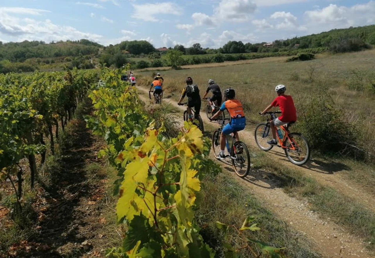 U Čitluku šesta biciklistička tura “Biciklom kroz vinograde i podrume Brotnja”