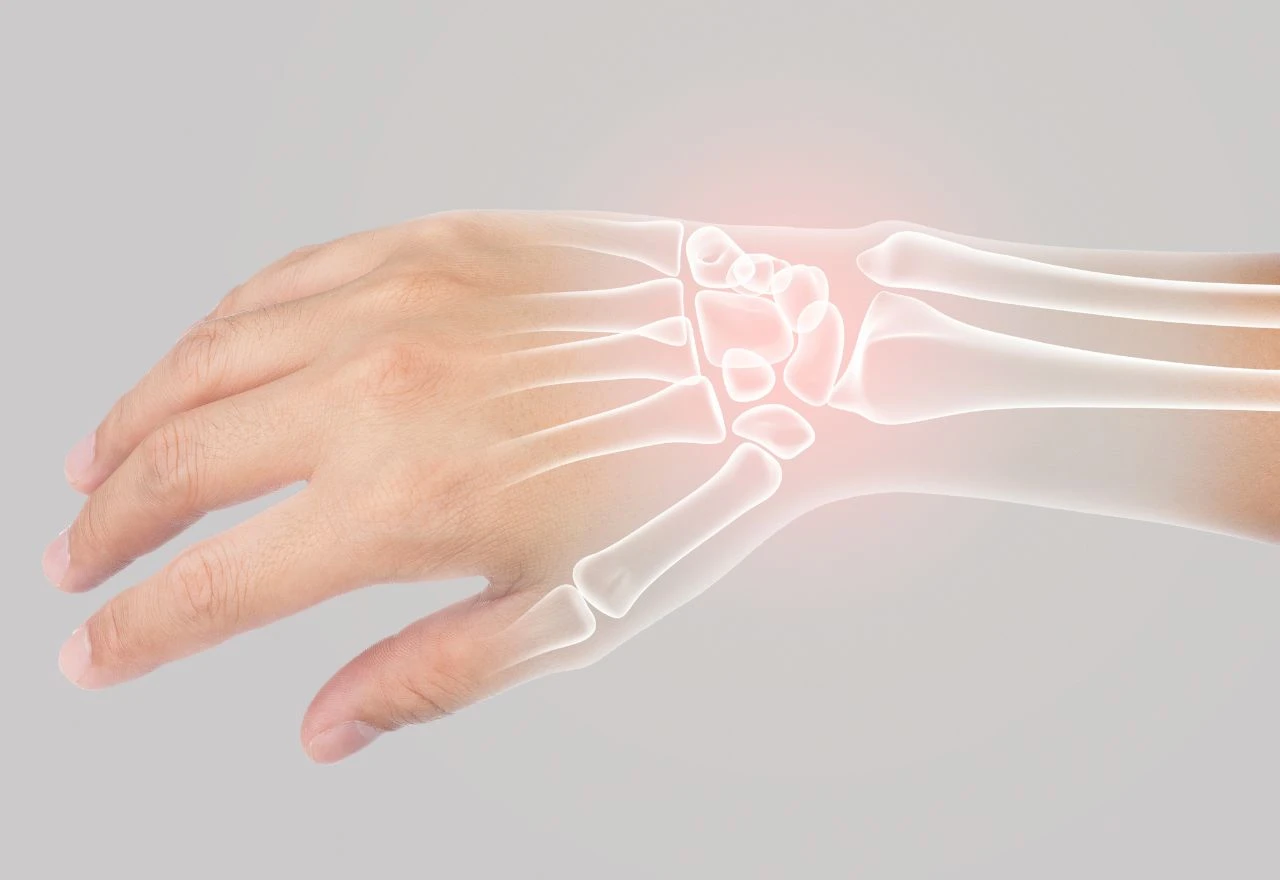 Ovaj receptor u kostima mogao bi biti ključ u borbi protiv osteoporoze