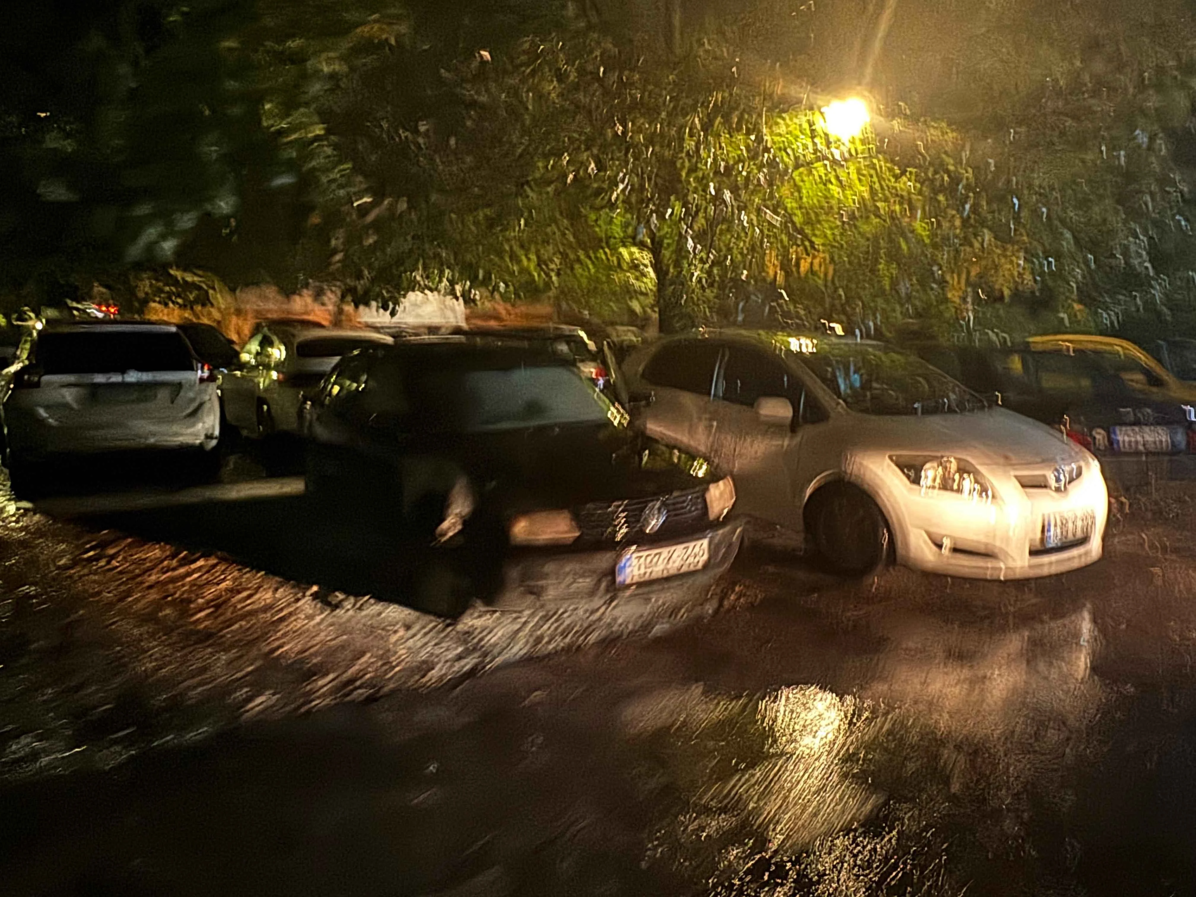 Gorio Passat u Radićevoj