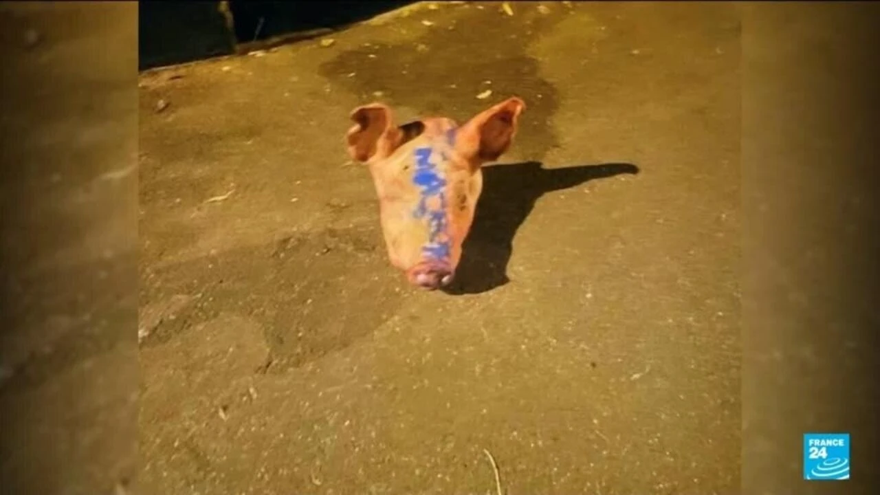Uhićena skupina iz Srbije: Farbali sinagogu, ostavljali svinjske glave ispred džamija...