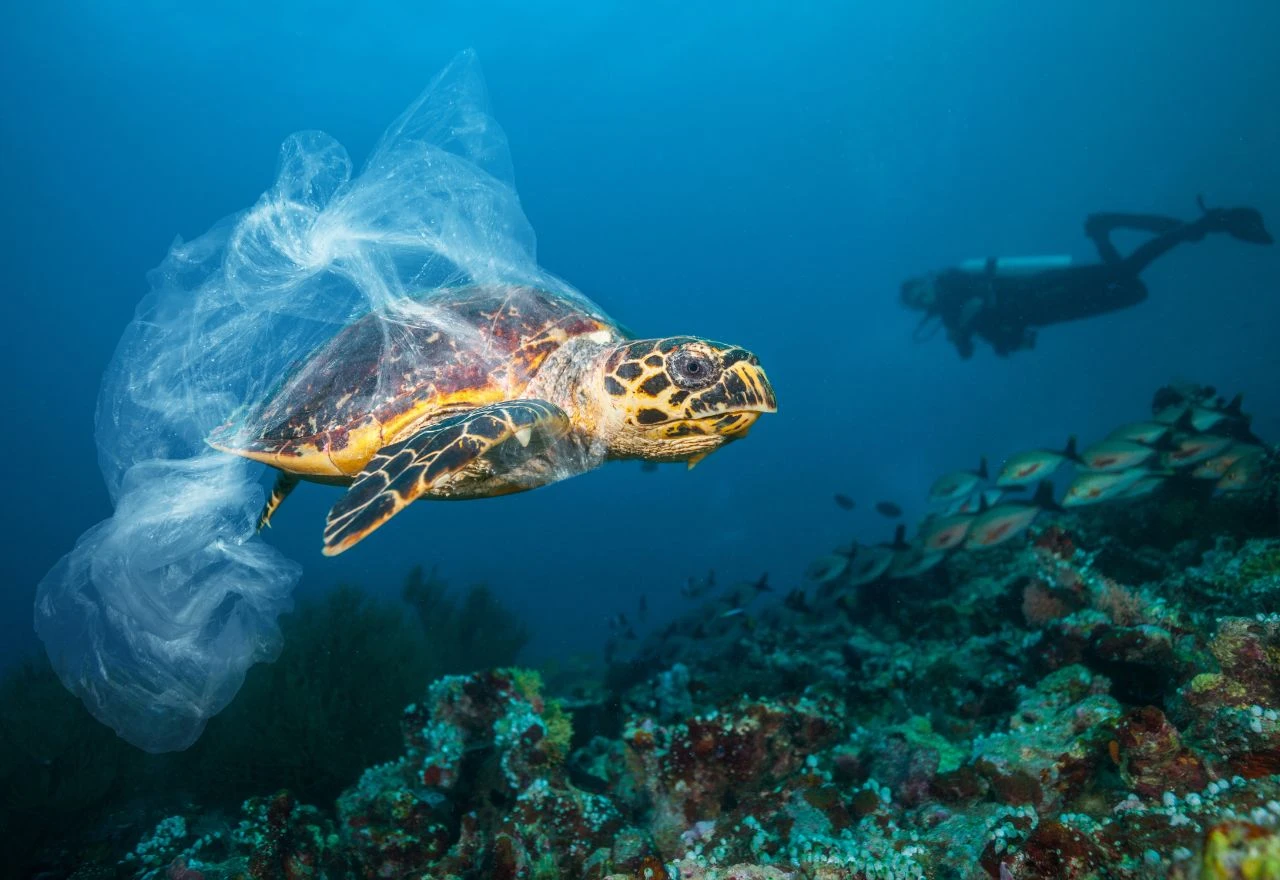 Copernicus izvještaj: Svaki ocean pod prijetnjom klimatskih promjena i onečišćenja