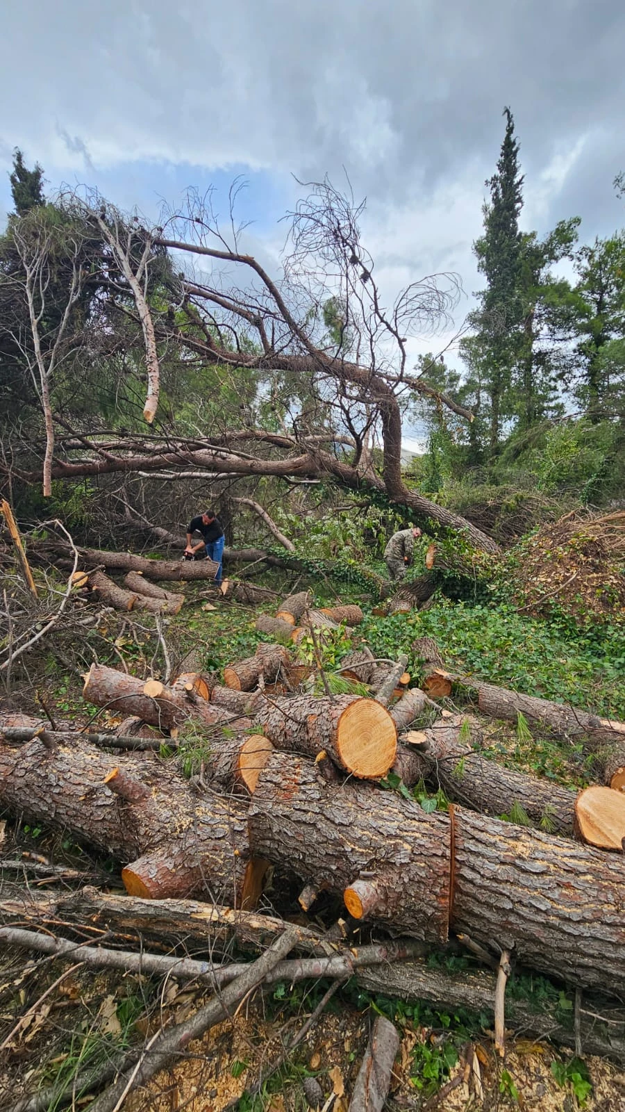 Oružane snage BiH pomažu Mostaru u sanaciji nakon nevremena