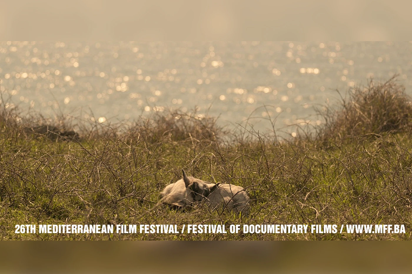 Što nas očekuje u filmskom tjednu u Širokom Brijegu?
