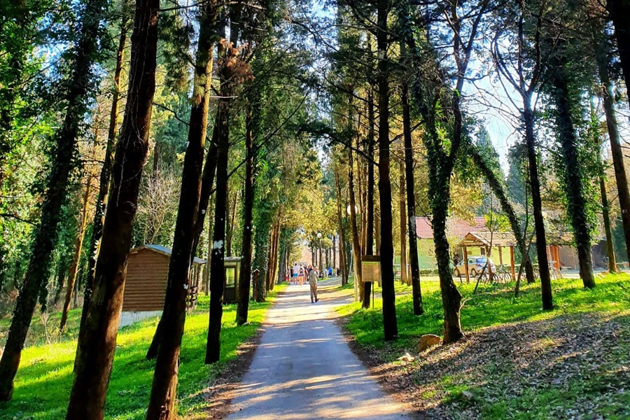 Uskoro predstavljanje rezultata obnove Hutovog blata