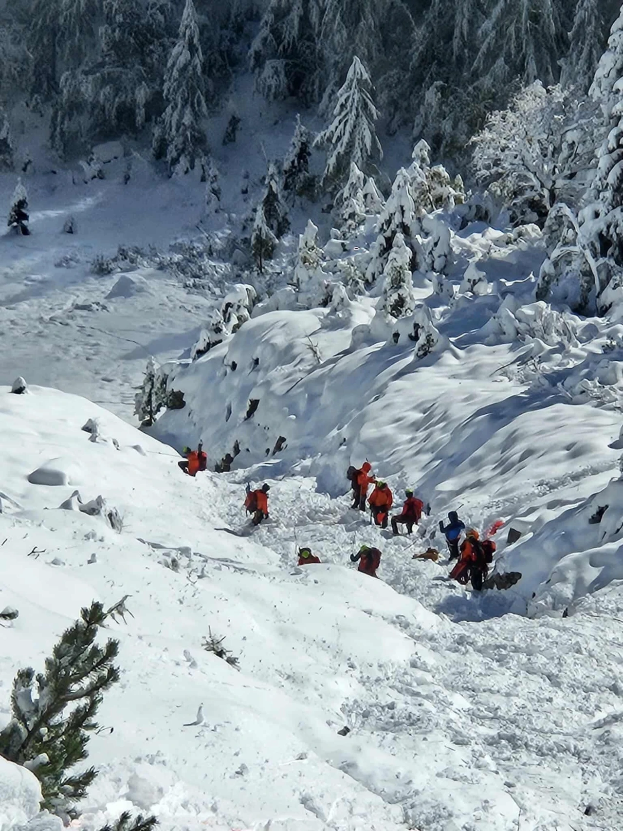 Detalji tragedije na Alpama: Jedan se brat tek oženio, a drugi trebao uskoro