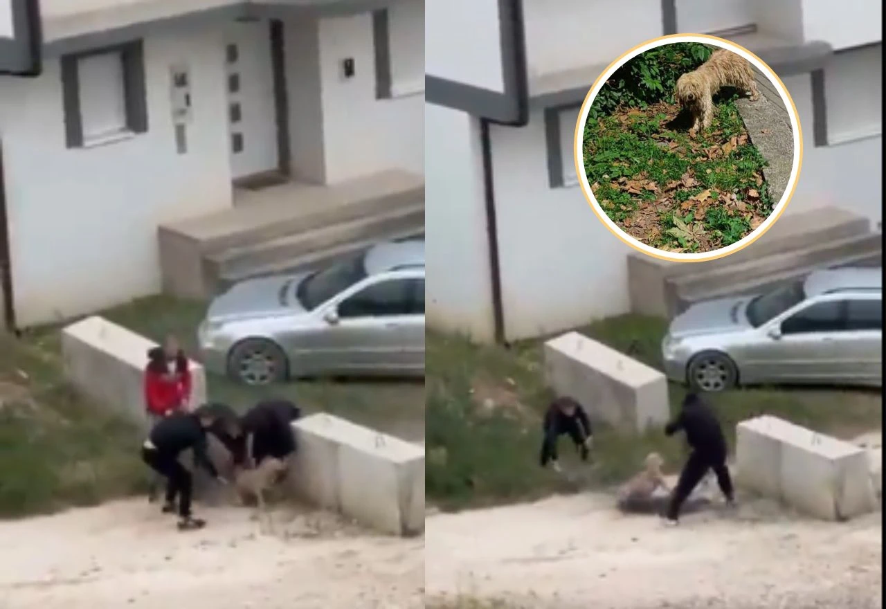 VIDEO: Neuhvatljivi Casper opet pobjegao