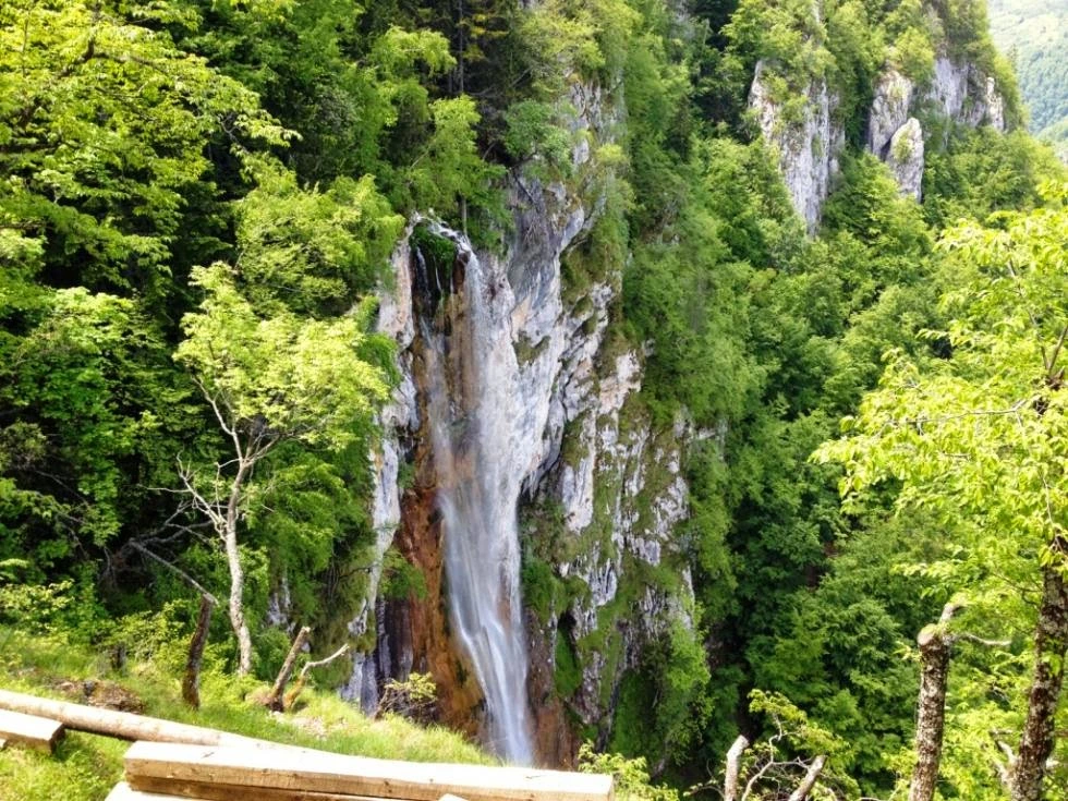 Prašuma Perućica