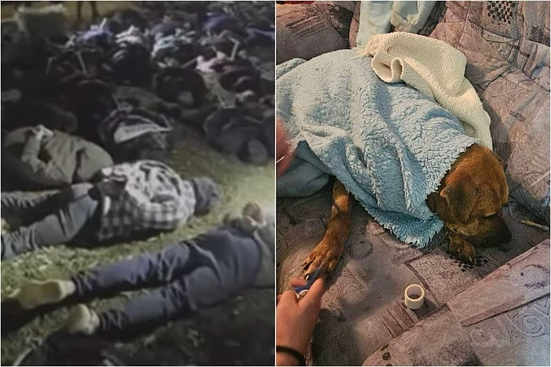 MUP RS objavio videozapis uhićenja osumnjičenih za zlostavljanje životinja i borbe pasa