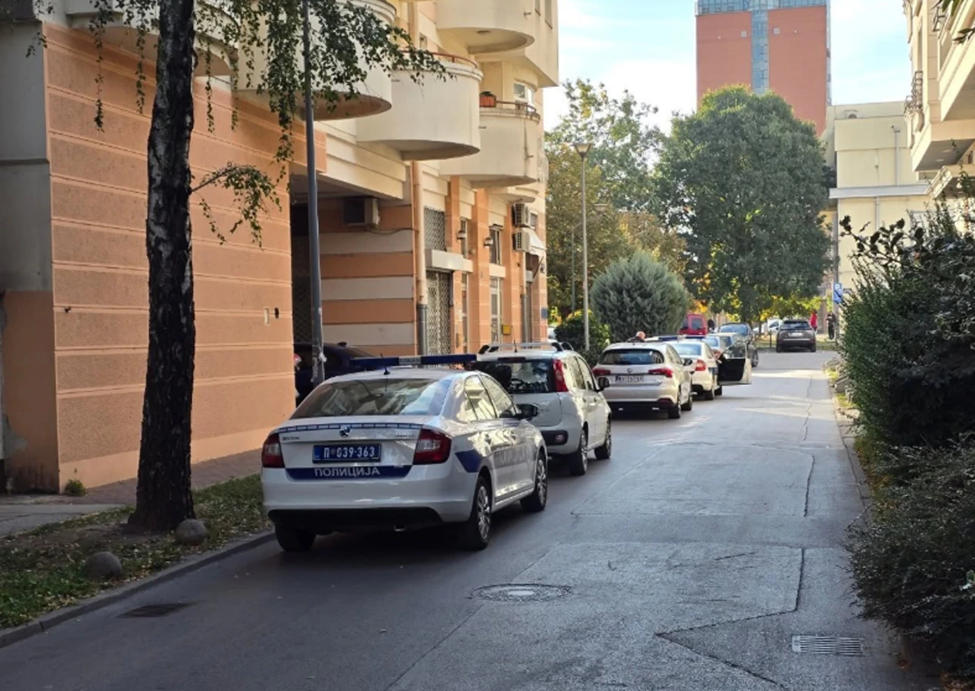 Novorođenče bacila na travnjak, nije preživjelo