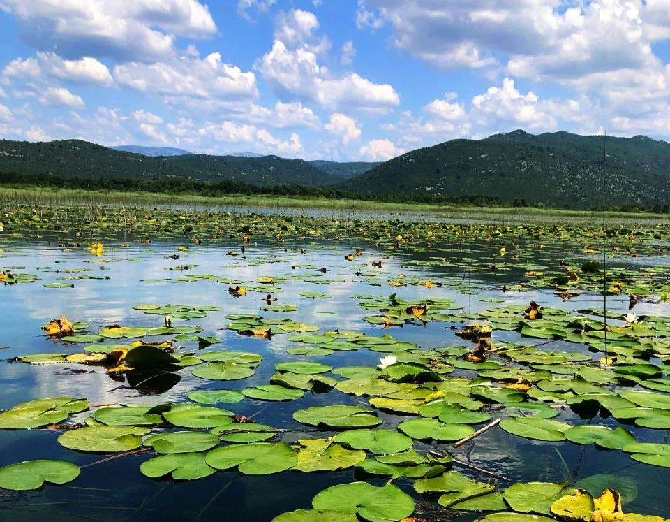 U Hutovu blatu konferencija o brendiranju BiH kroz medije