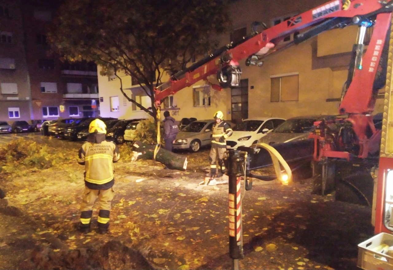 Kaos u susjedstvu: Poplavljene ulice, vjetar rušio stabla