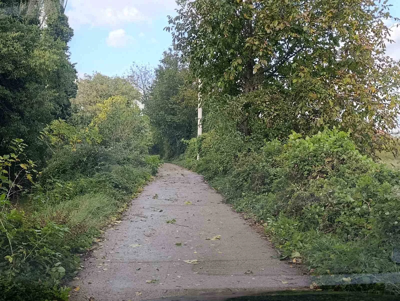 Uređenje izvorišta Livčina