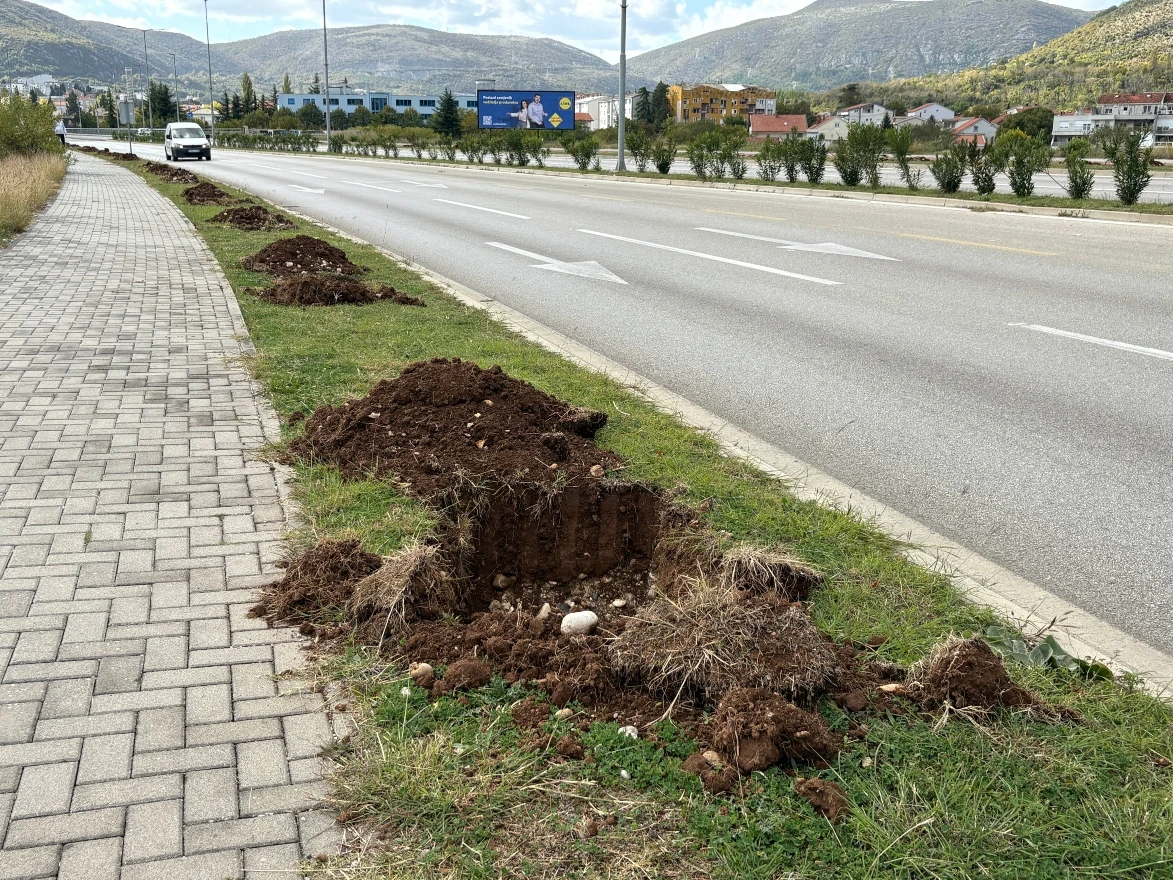 FOTO: Konačno niču stabla kod Studentskog mosta?