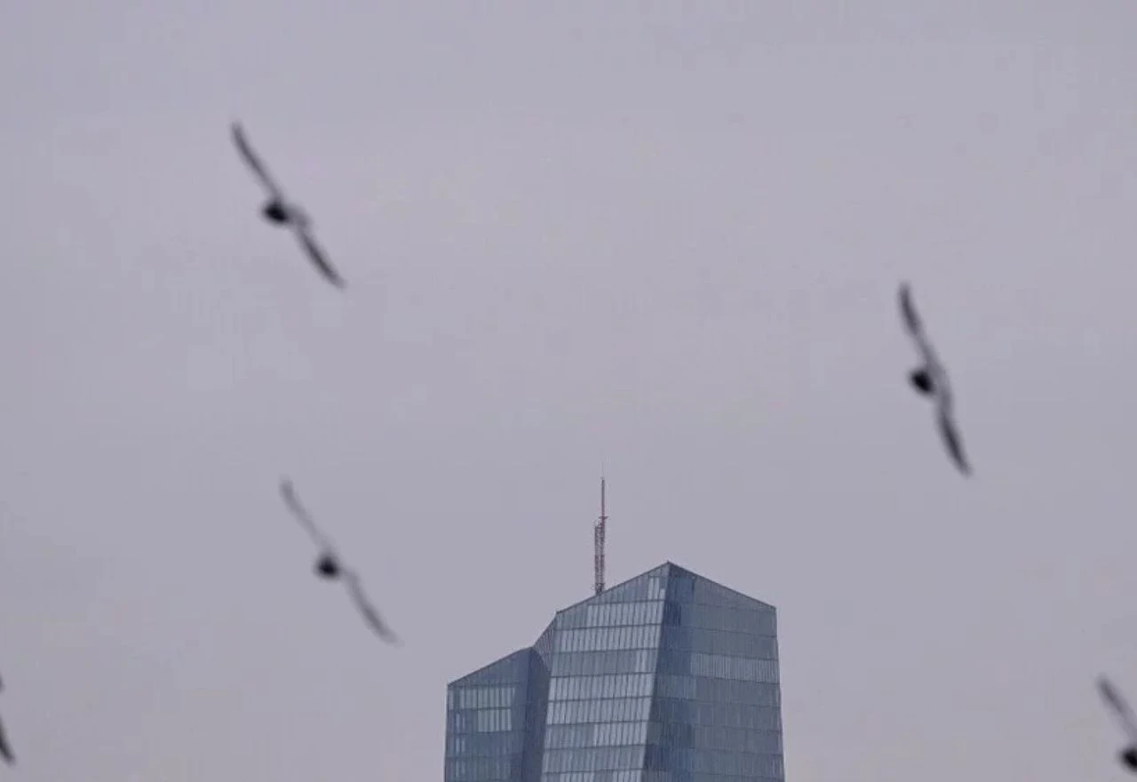 Ptice padaju s neba, Njemačkoj prijeti nestašica hrane