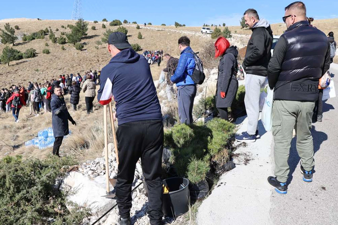 Najveća volonterska akcija pošumljavanja kod Mostara