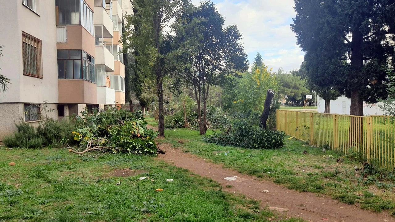 omladinska novi parking