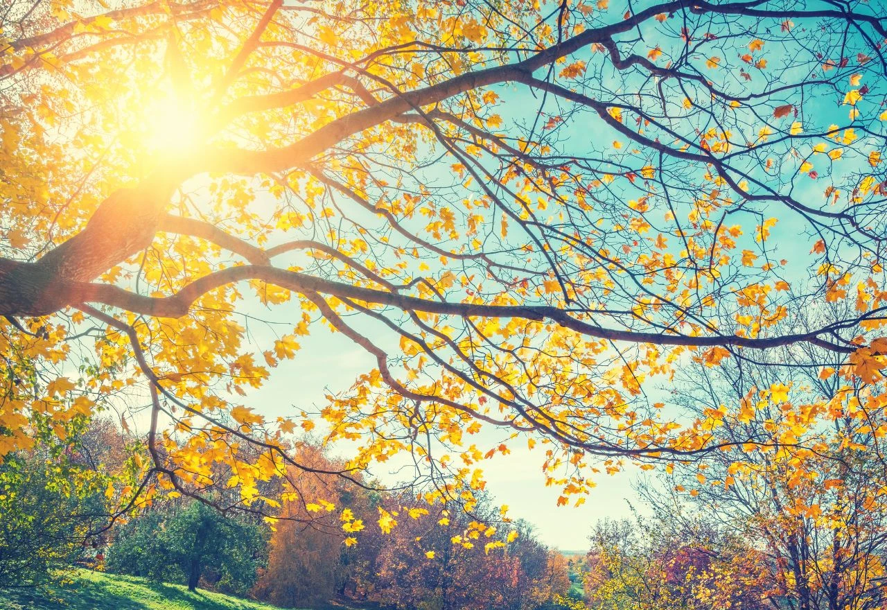 Vikend suh i stabilan, zatim pad temperature i obilna kiša