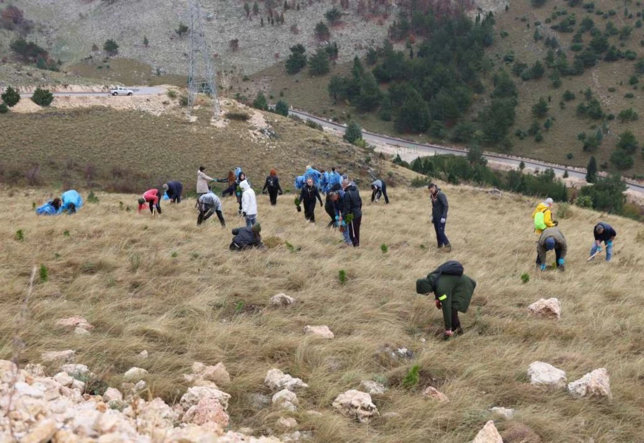 FOTO | Akcija pošumljavanja: Na Fortici zasađeno 2.500 novih stabala