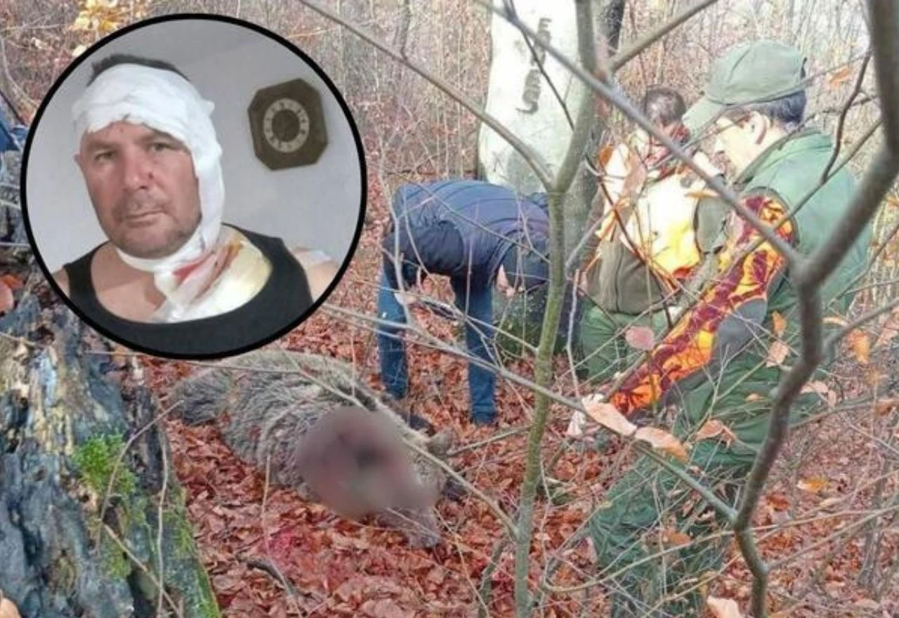 Lovac iz BiH preživio napad medvjedice
