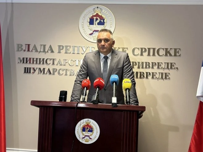 Minić: Imovina pripada entitetima