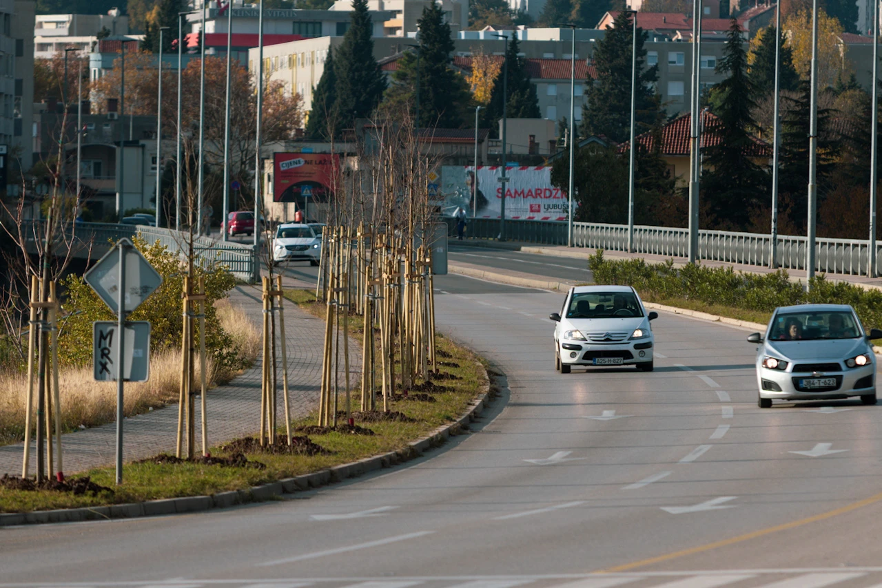 Posađen novi drvored uz most kod Pasarele