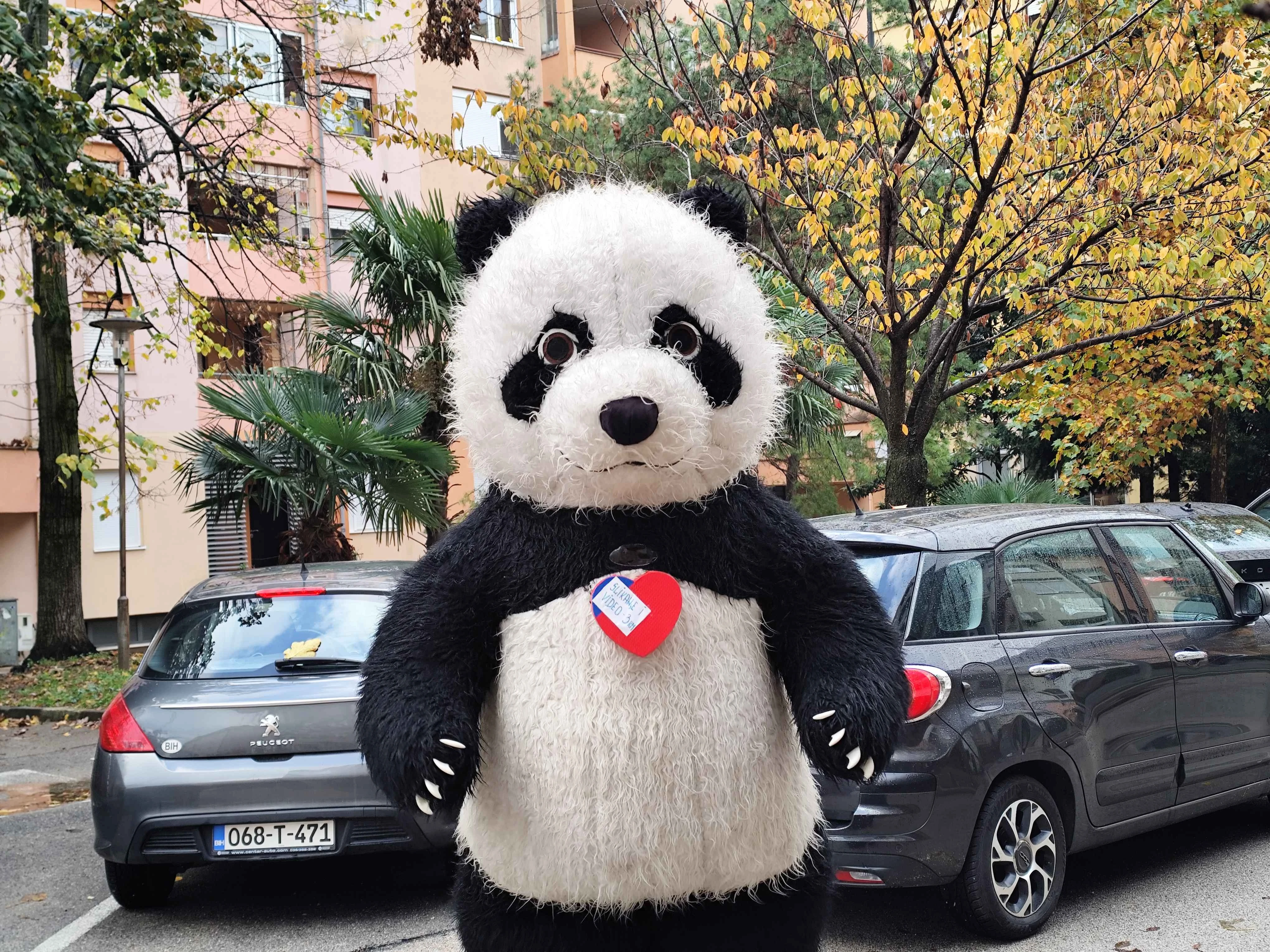 Velika panda prošetala Mostarom i popravila kišni dan