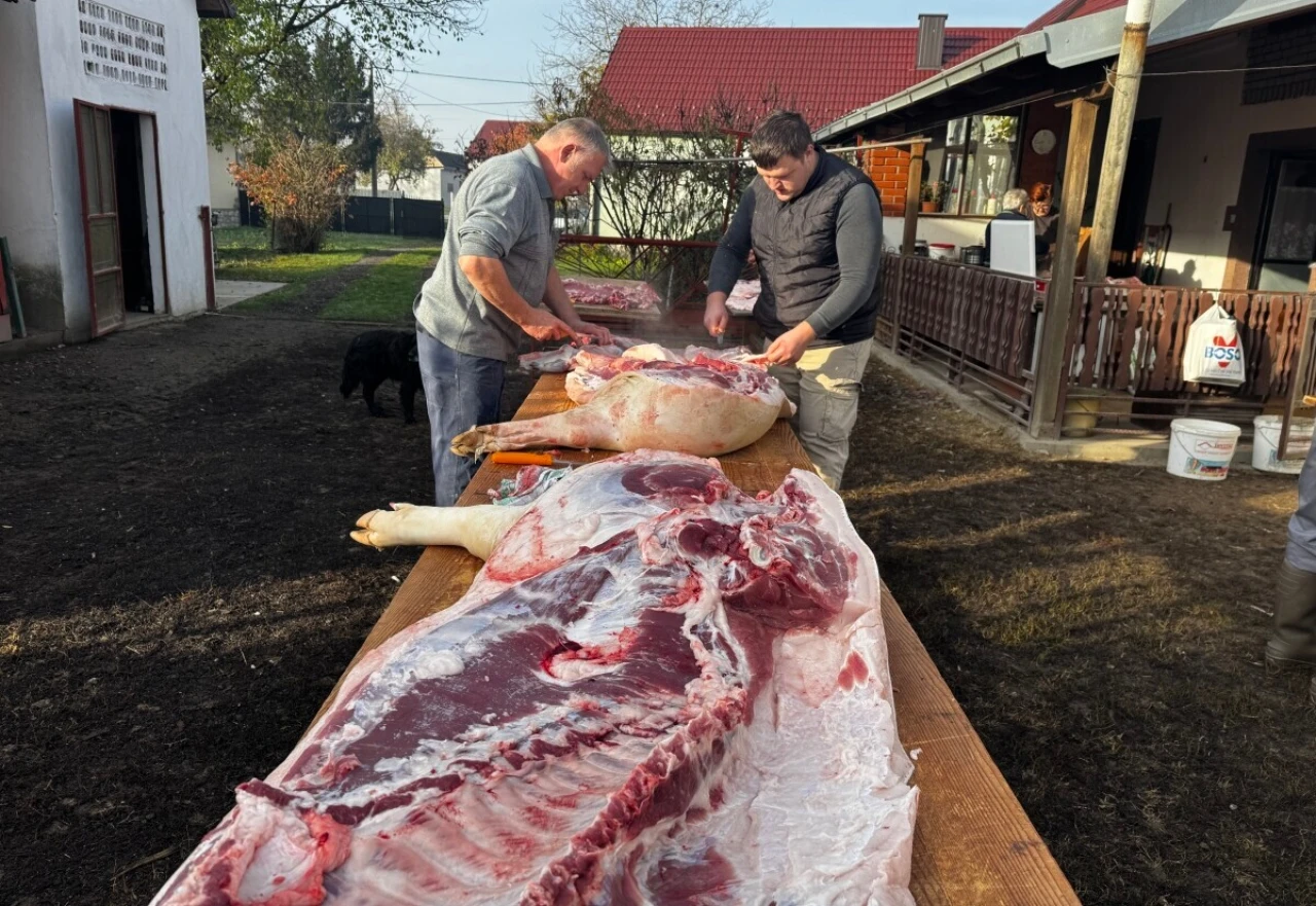 VIDEO | Tradicionalna slavonska svinjokolja: "Sve počinje rakijicom"