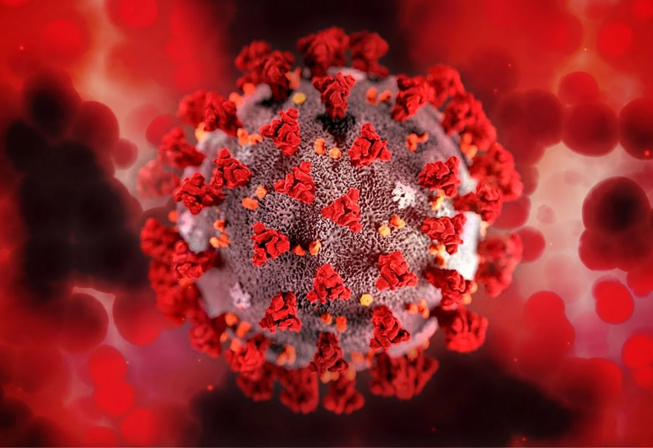 WHO: Infekcije HIV-om u Europi se često otkrivaju prekasno