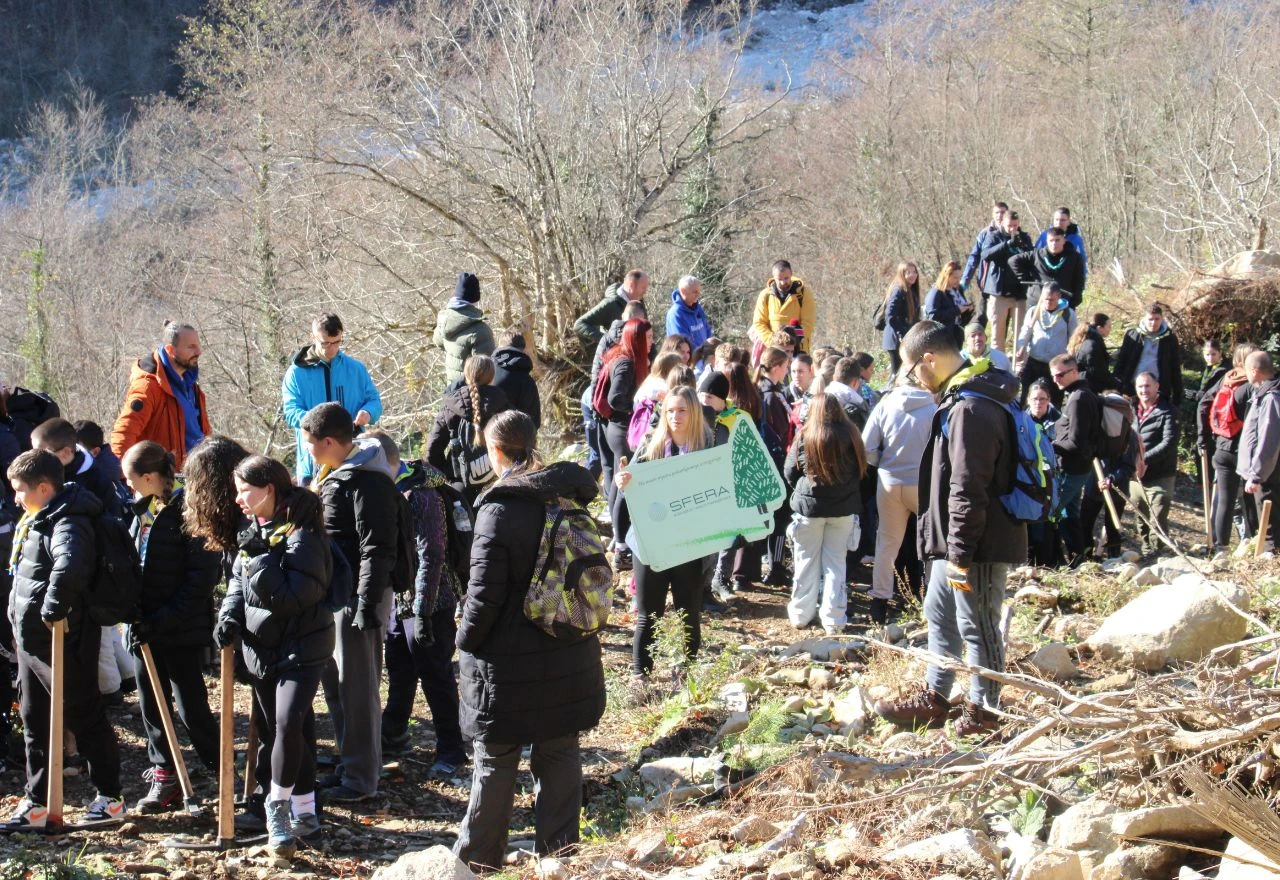 FOTO | Boranka u BiH: Uspješno realizirane dvije akcije pošumljavanja