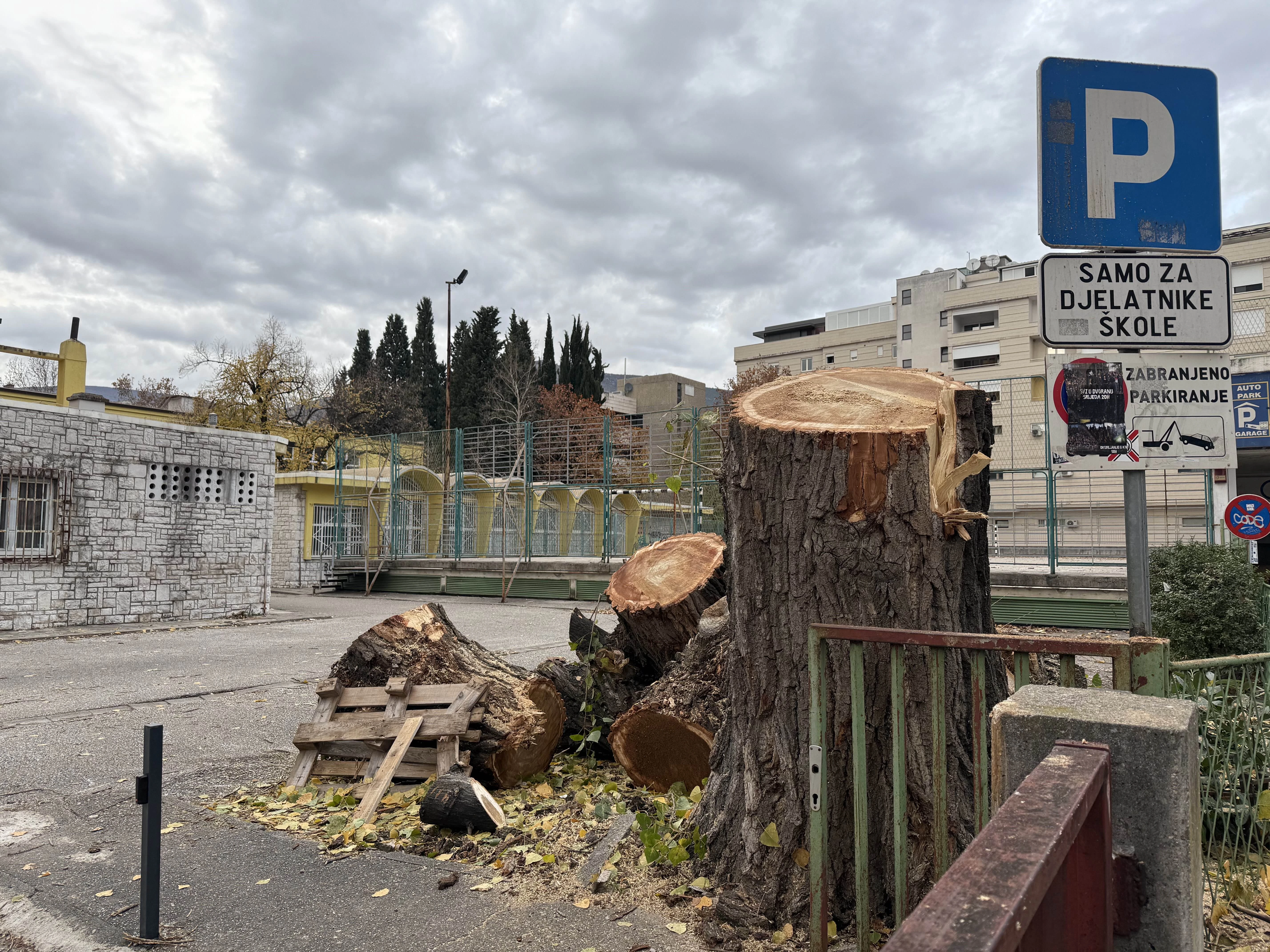 Mostar ostao bez još jednog stabla...
