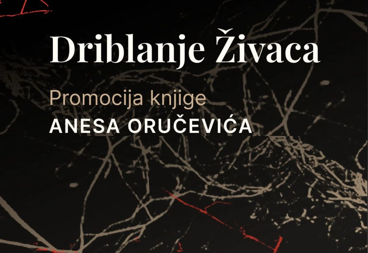 Predstavljanje knjige Anesa Oručevića u Mostaru