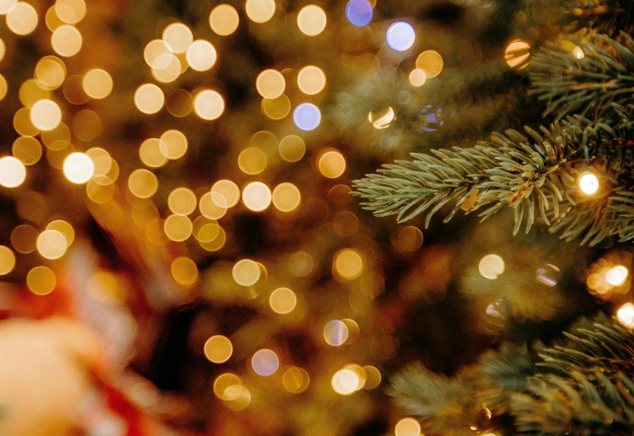 Advent u Brotnju počinje zajedničkim ukrašavanjem božićnog drvca