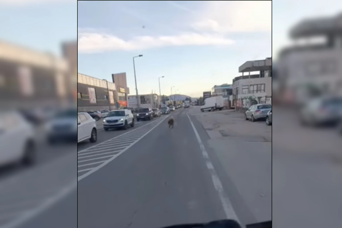 VIDEO | Ovako se treba kretati svojom trakom u prometnoj gužvi u Mostaru