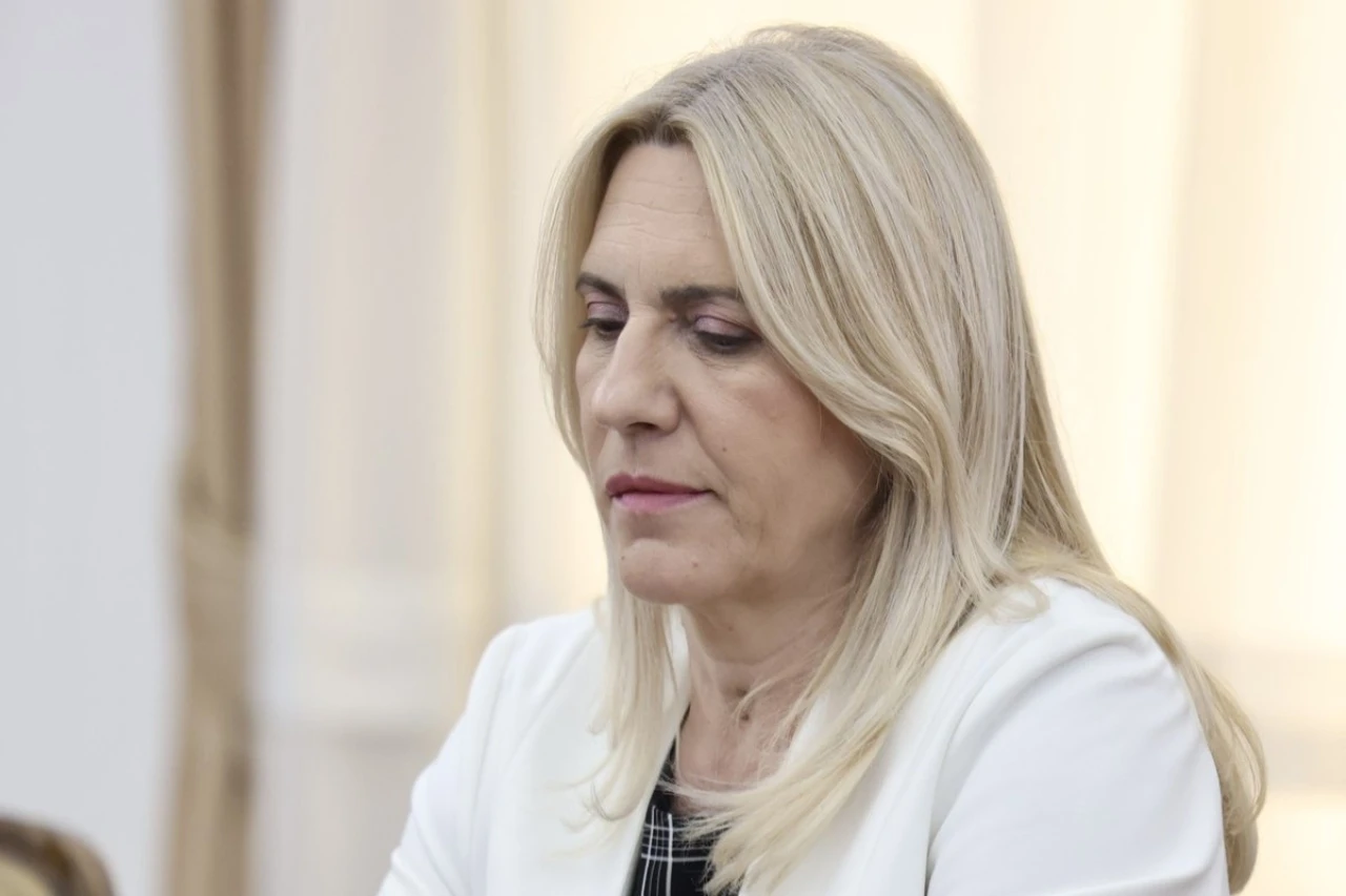 Cvijanović: Krnjić je fizički zaustavio put ka Europskoj uniji
