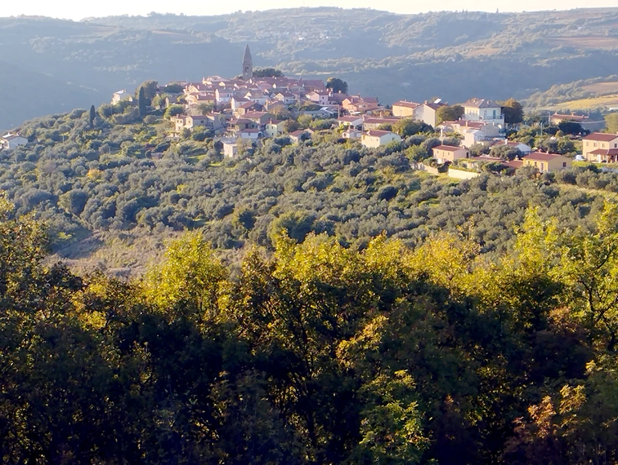 Padna